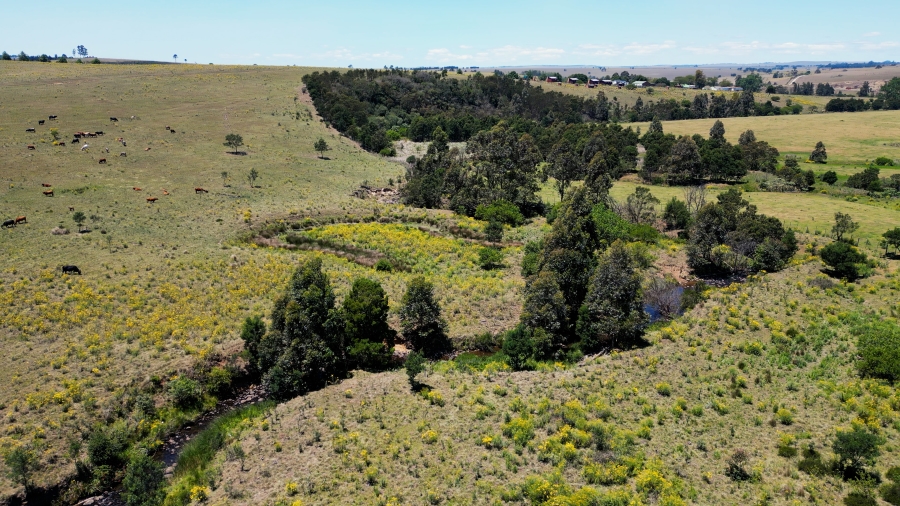 0 Bedroom Property for Sale in Stutterheim Eastern Cape